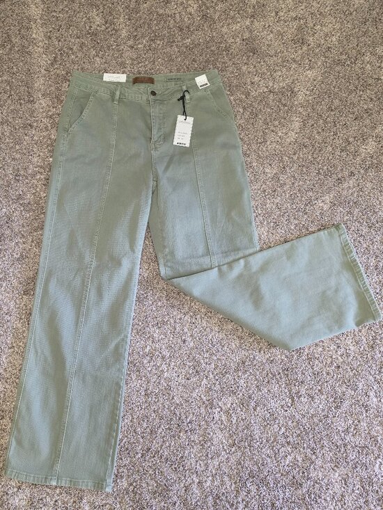 Judy Blue Denim - NWT Judy Blue High Waist Wide Leg Jeans Sage Green Size 15/32 Stretch Denim